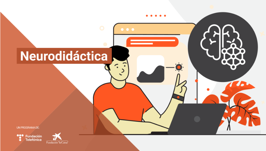 Imagen de Neurodidáctica