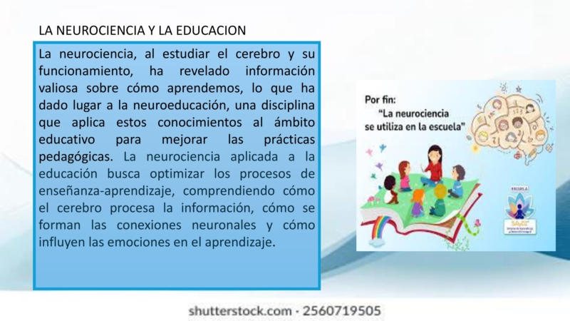 neurociencia-y-educacion_1