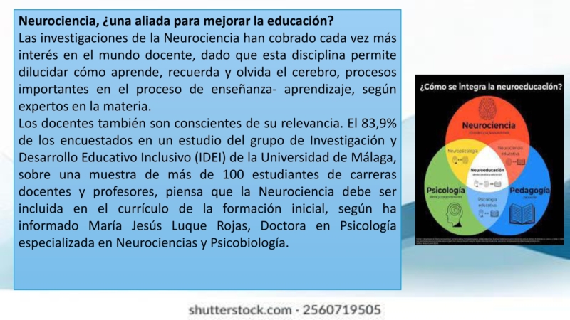 neurociencia-y-educacion_2