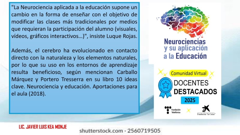 neurociencia-y-educacion_3