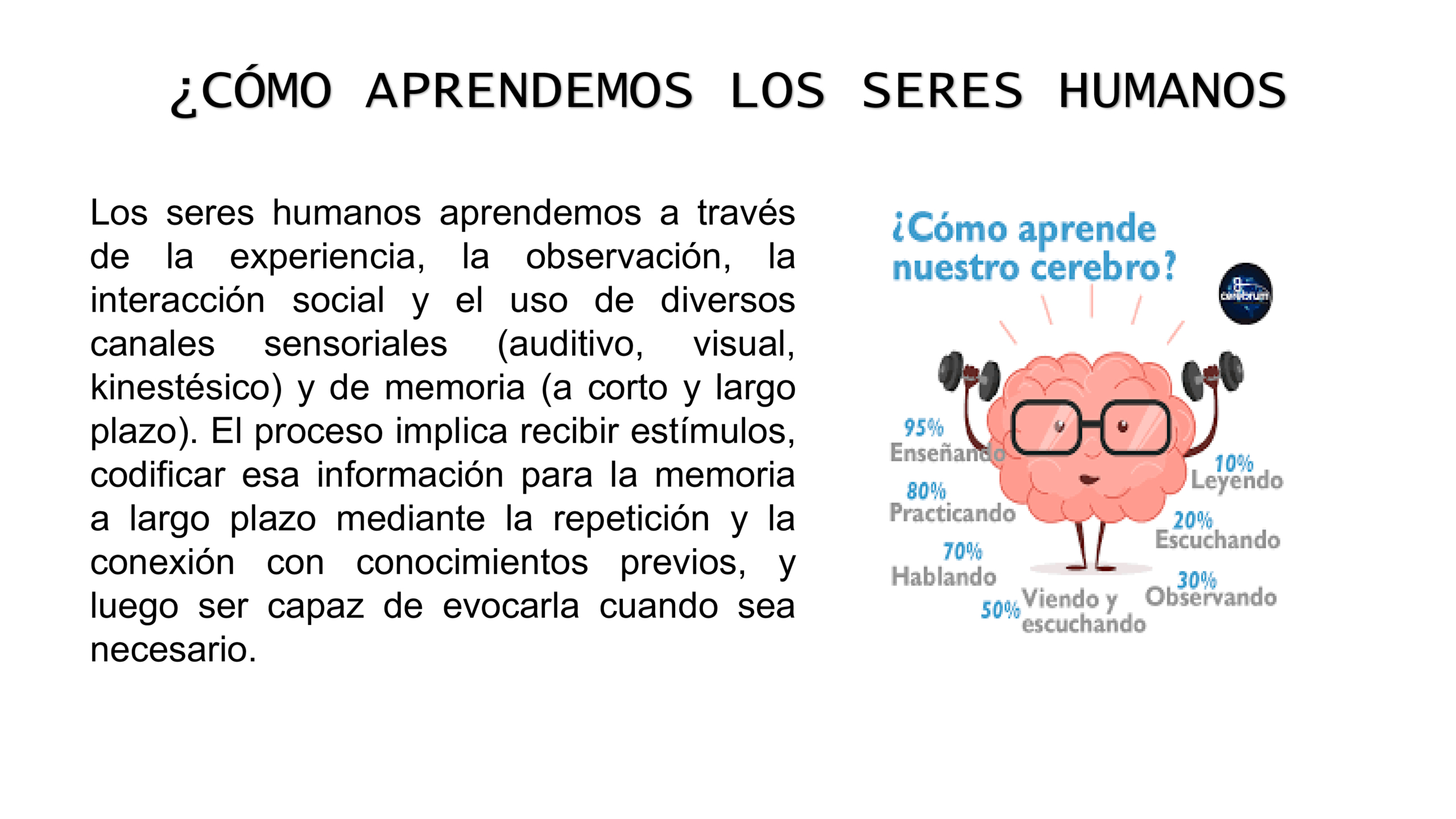 da176873-f0fb-495e-a87b-cb1b45c51359-0