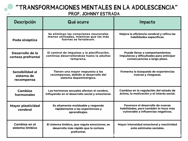 cerebro-de-adolecente