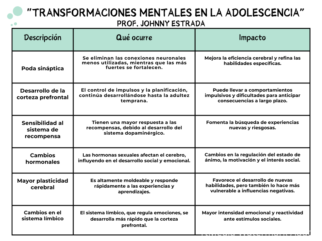 Cerebro de adolecente