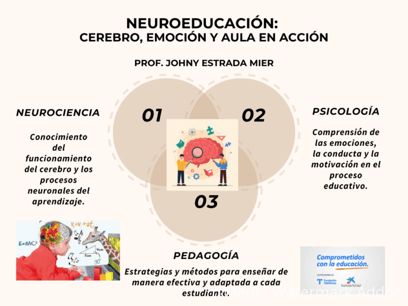 neuroeducacion-4